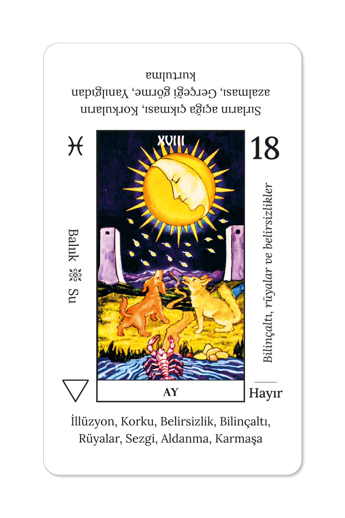 Başlangıç Tarot