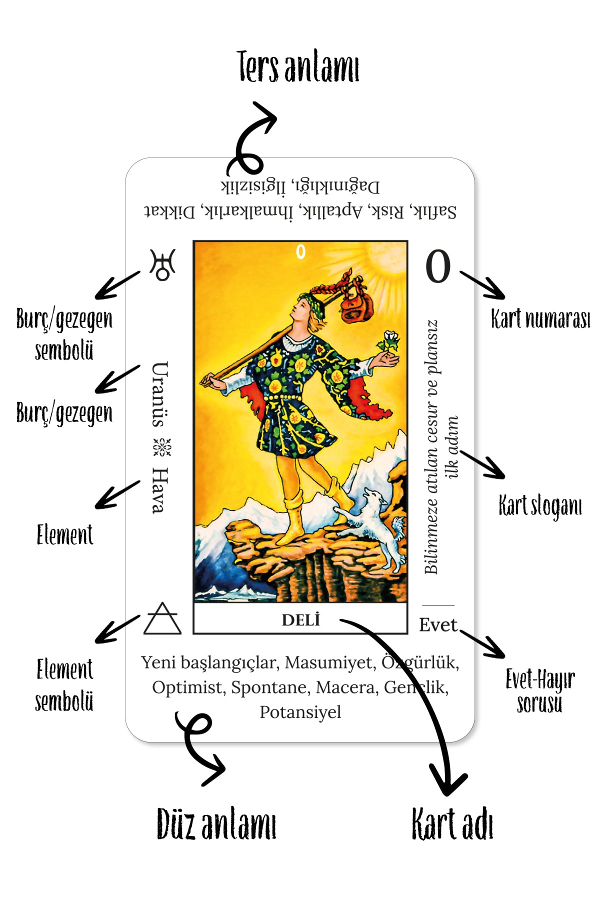Başlangıç Tarot