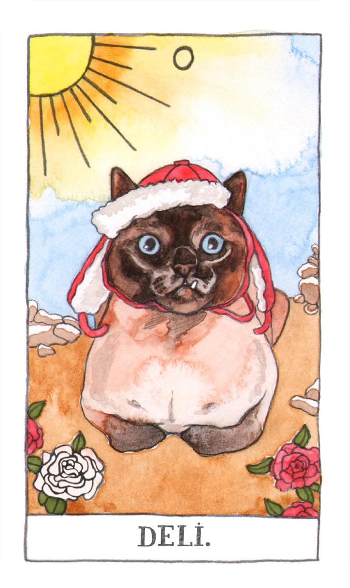 Kedi Tarot