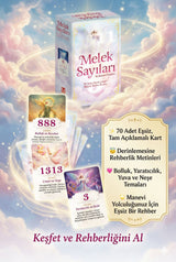 Melek Sayıları
